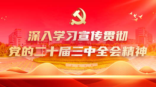 谌贻琴在全国妇联常委（扩大）会议上强调　深入学习贯彻党的二十届三中全会精神　以进一步全面深化改革推进妇联工作高质量发展