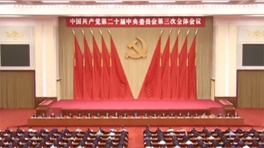 学习贯彻党的二十届三中全会精神｜同向同行 在推进中国式现代化中作出新贡献